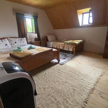 Guesthouse Freskia Теті Екстер'єр фото