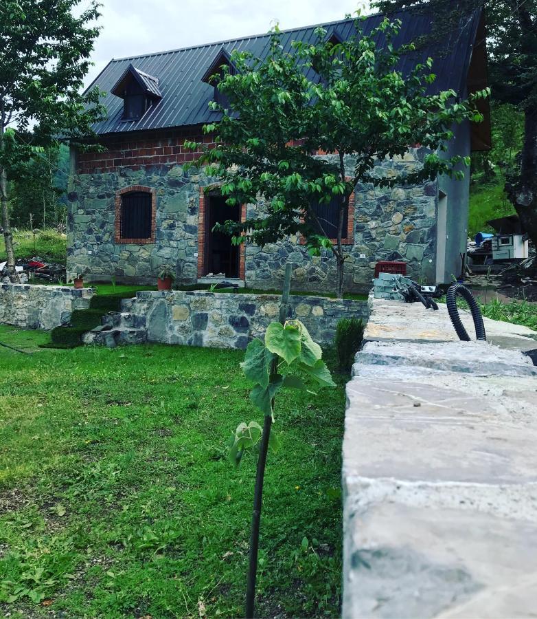 Guesthouse Freskia Теті Екстер'єр фото