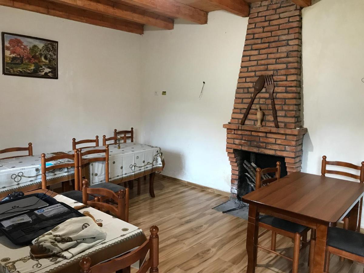 Guesthouse Freskia Теті Екстер'єр фото