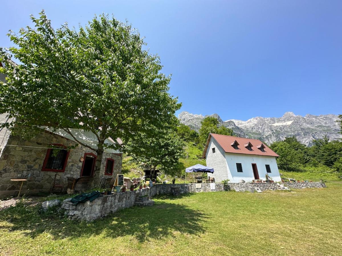 Guesthouse Freskia Теті Екстер'єр фото