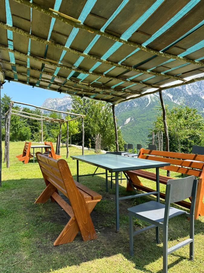 Guesthouse Freskia Теті Екстер'єр фото