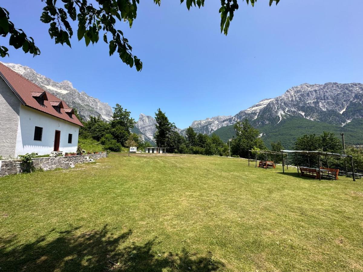Guesthouse Freskia Теті Екстер'єр фото