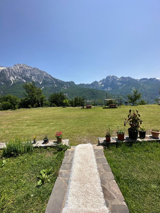 Guesthouse Freskia Теті Екстер'єр фото