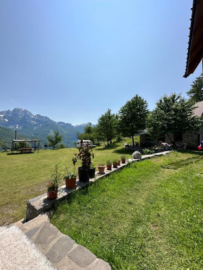 Guesthouse Freskia Теті Екстер'єр фото