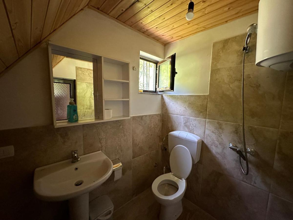 Guesthouse Freskia Теті Екстер'єр фото