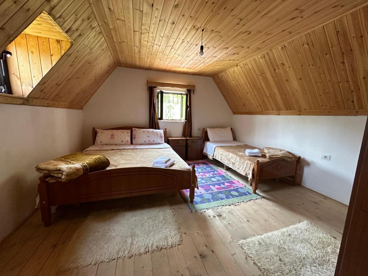 Guesthouse Freskia Теті Екстер'єр фото