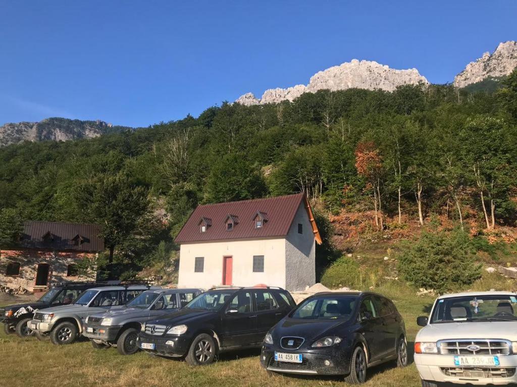 Guesthouse Freskia Теті Екстер'єр фото